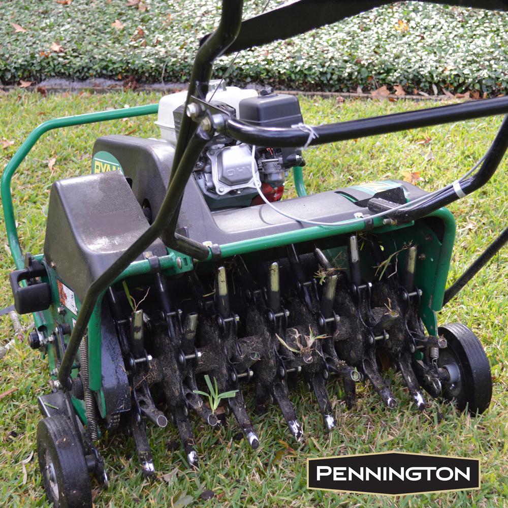 pennington's tweet photo. Now is the time to aerate warm season grasses, such as zoysia, centipede, carpetgrass, St. Augustine and bermuda. http://t.co/TksscGwSkK
