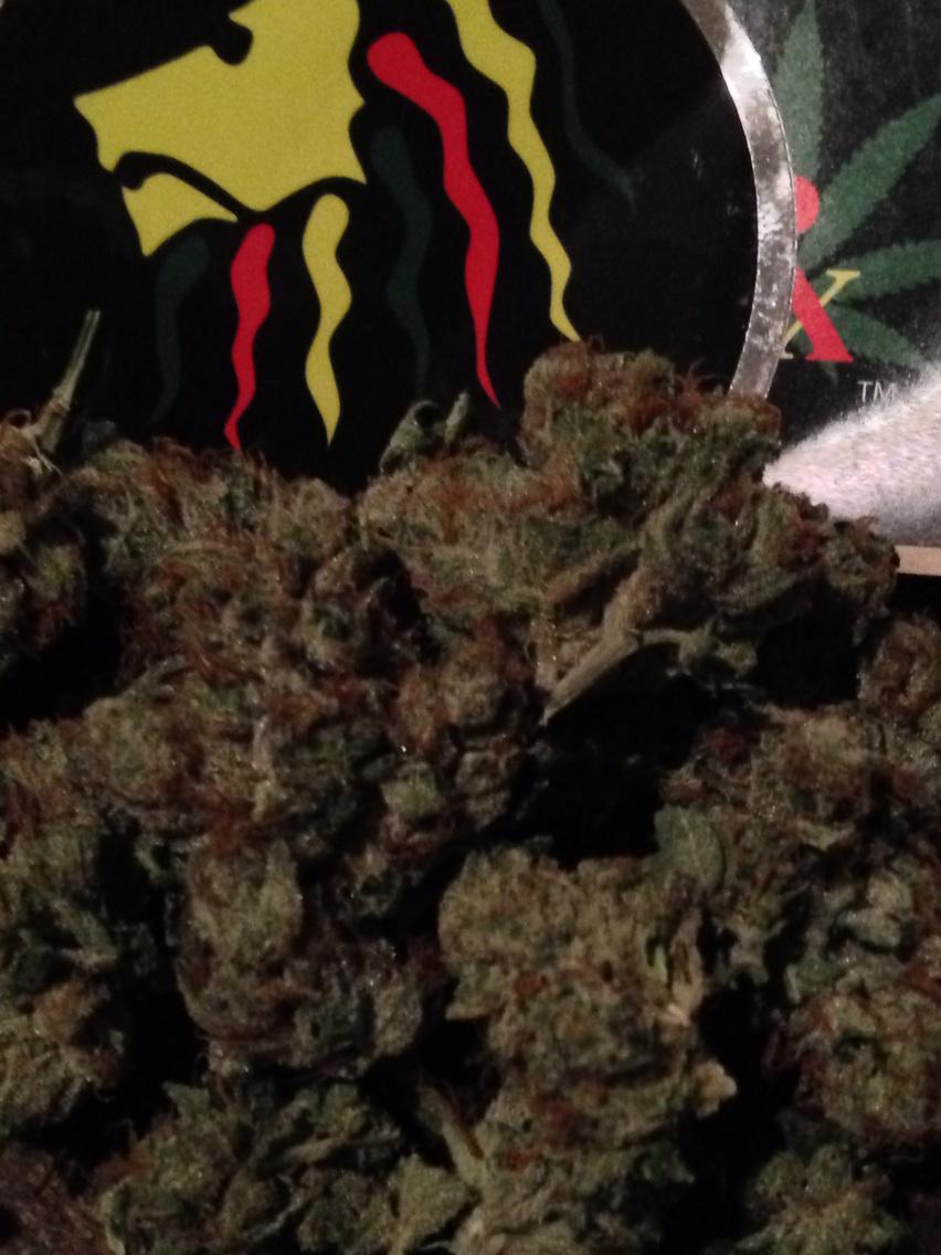 TheMrNatural's tweet photo. All Organic Mr Natural Inc Brand Name Medical Marijuana Internationally Known @MaryjaneDaly @cannabis_mag @420_Report http://t.co/lKBFfZeJKs