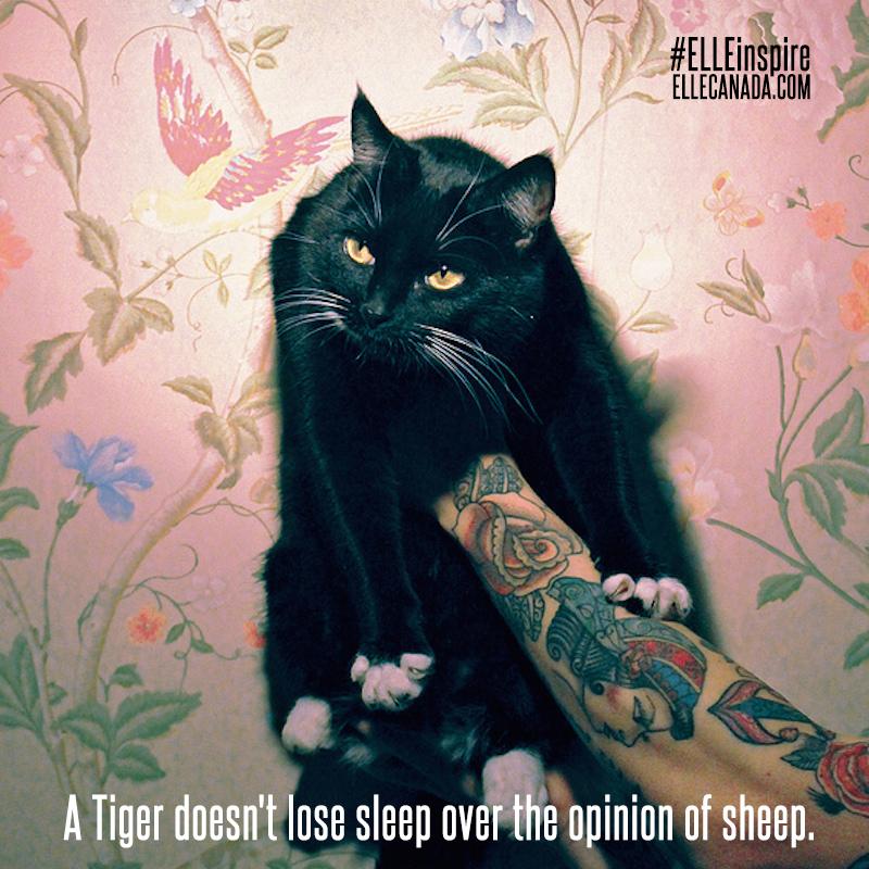 ElleCanada tweet picture
