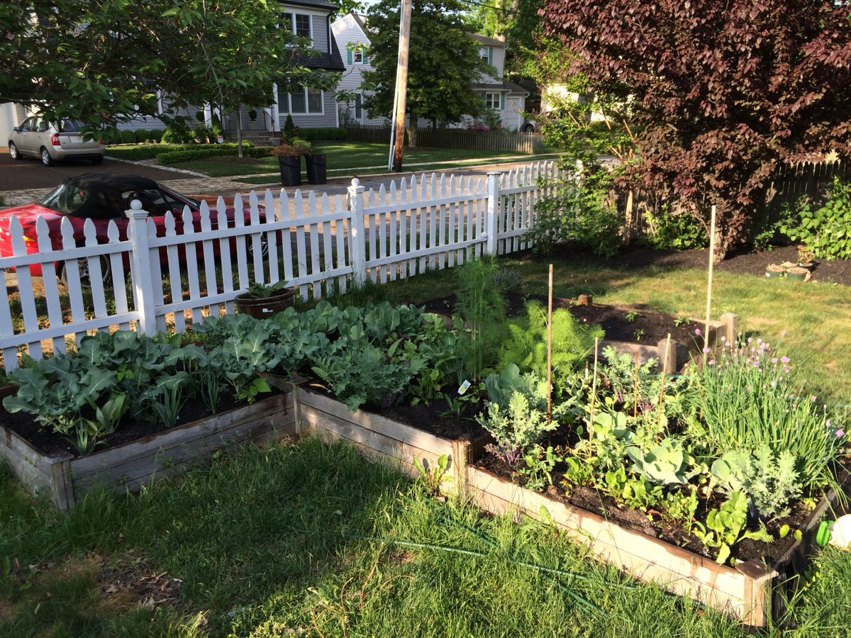 SeanWalshEsq's tweet photo. Took a chance this year and planted early. Worked out! http://t.co/7gqXUYlFpG