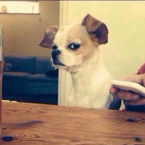 BajoelFlexo's tweet photo. Tu cara cuando alguien que te cae mal hace una broma. http://t.co/tOHaOk1s1E