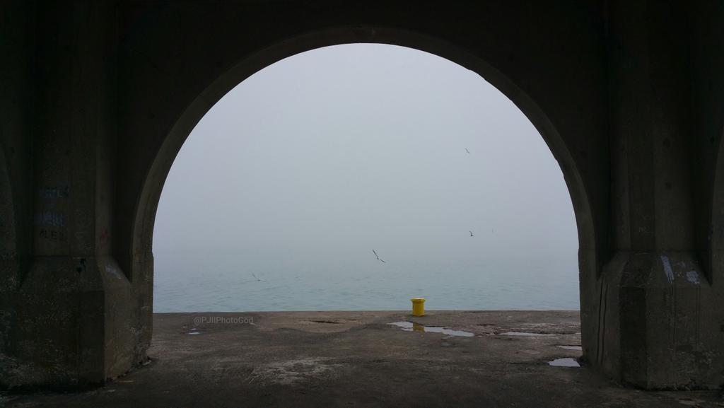 PJIIPhotoGod's tweet photo. @PhotoLately @RadEarthPorn @DiscoverWI @NatGeoPhotos #MadMenFinale #GameOfThrones #ShareYourNature #fly #swim #fog :D http://t.co/82e5lDbJ1P