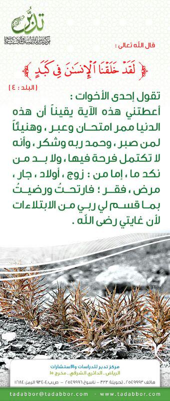 tadabbor tweet picture