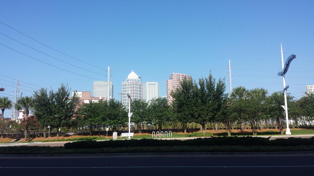 RunDisneyFan's tweet photo. Gorgeous Monday morning walk to the gym! Love my city! @OTFChannelside #TampaBay #workout #Monday #beautiful http://t.co/MloQs0xRMN
