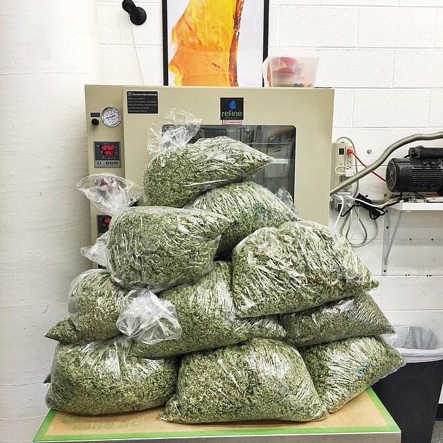 gutgutbox's tweet image. Guess how much extraction this made 😉@X_Tracted Using only the best equipment  from the homies @AcrossIntl #VacOven…