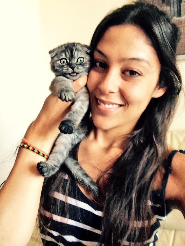 babimm88's tweet photo. 😻😻😻 http://t.co/nOLsTSZJCz