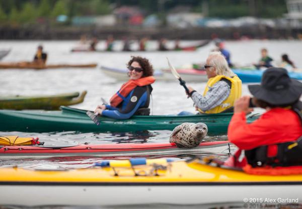 LittleJen007's tweet image. Protesting seal &amp;lt;3
#sHellNo #arctic #YouShellNotPass #IStandWithSeattle #StopShell

blubberblog.org/files/057e78bd…