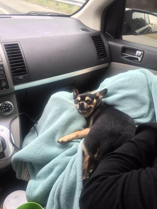 Its Psycho Lord tweet media