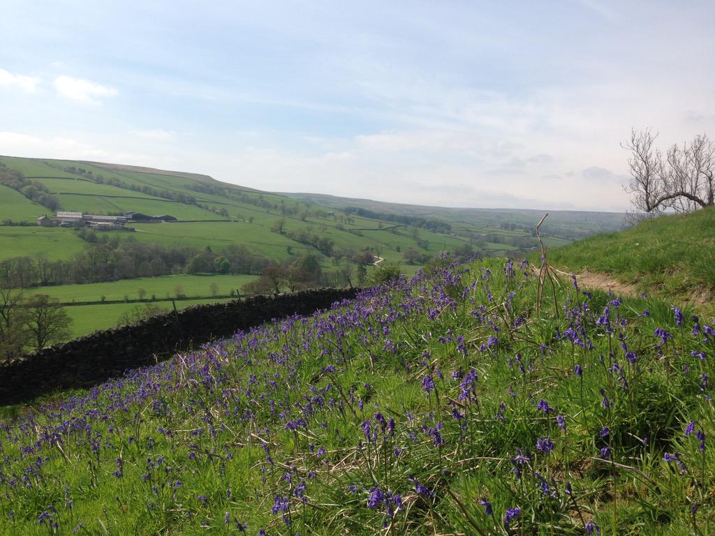 Tickets are now available for this week's walk to Middlesmoor. Just click here yusu.org/tickets