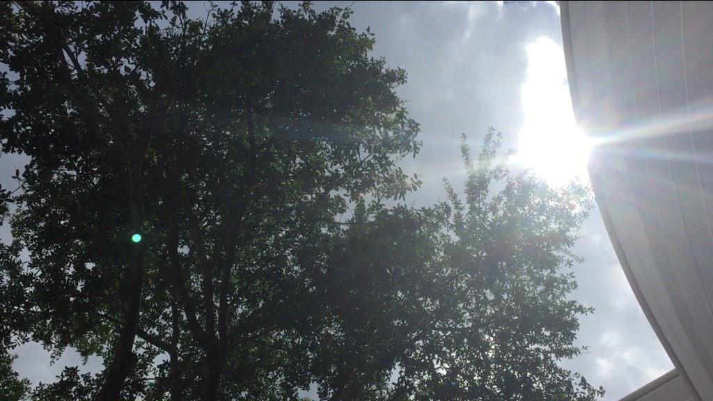 EmisforMusic's tweet photo. Quick outdoor break to rejuvenate during my day 4 at #ATD2015. Weather's great. :) Here's to my fellow introverts! http://t.co/dbRaB7R9KT