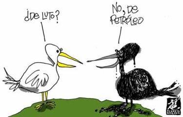 MINAM - ZONA JÓVENES tweet media