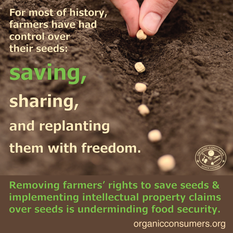 theSeedMovie's tweet photo. Please join our #FarmToScreen effort. http://t.co/DMilqDBs7K #ProFarmer #nonGMO #IndependentFilm http://t.co/NK9IEbd67C