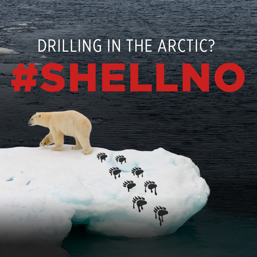 SierraClub's tweet photo. Tell @Interior to say "Shell NO!" to drilling in the Arctic: http://t.co/k57wxpmYIh  #ShellNo http://t.co/cLGv1D7jNN
