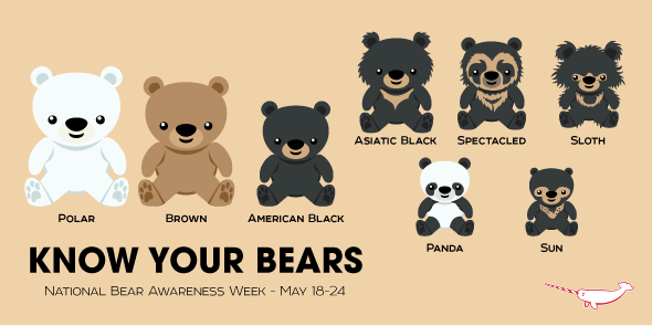 PepomintNarwhal's tweet photo. Happy #BearAppreciationWeek! To celebrate, we thought you should KNOW YOUR BEARS! 
http://t.co/MXebapZrVh http://t.co/0KY93phOMC