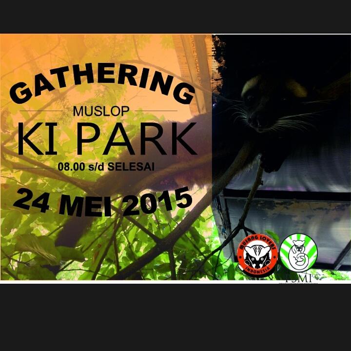 Musang lovers PLG  (@muslop_) on Twitter photo 