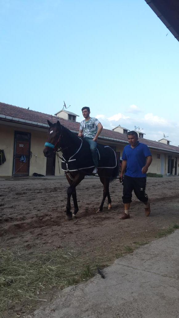 kat_semih's tweet photo. http://t.co/2iXwV1RCwU