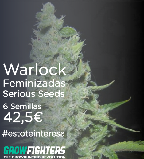 Growfighters's tweet photo. Warlock Feminizadas Serious Seeds
6 Semillas 42,5€
http://t.co/1SyBA0tdzm
#estoteinteresa #cannabis http://t.co/VvdyCt6M71