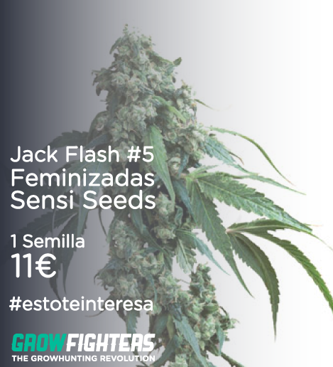 Growfighters's tweet photo. Jack Flash #5 Feminizadas Sensi Seeds
1 Semilla x 11€
http://t.co/EaxLduU64B
#estoteinteresa #cannabis http://t.co/6P0t4HgNbs