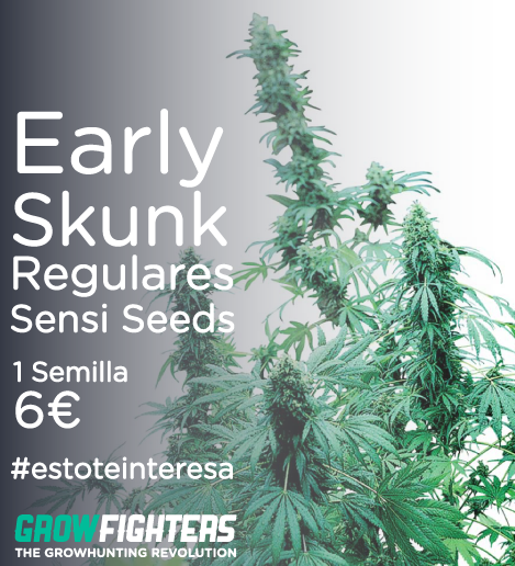 Growfighters's tweet photo. Early Skunk Regulares Sensi Seeds
1 Semilla x 6€
http://t.co/XGSwQ8ArpE
#estoteinteresa #cannabis http://t.co/eI4DxTaPMS