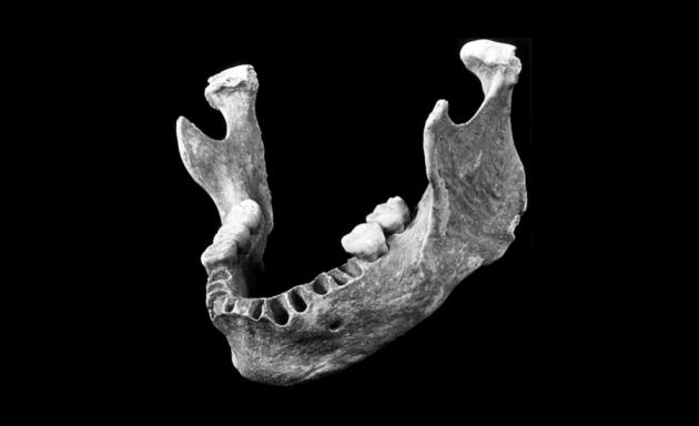 Nature's tweet photo. Genome of 40,000-yr-old jaw from Romania suggests humans interbred with Neanderthals in Europe http://t.co/SZhb9dZNDo http://t.co/j23AAOOsGf
