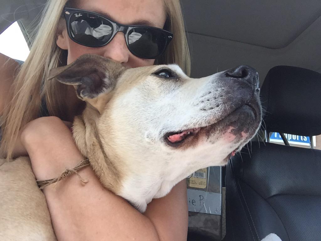 RayPayne's tweet image. Pretty road trip partner! #prettypittie #imnotdriving #mybestfriendisapitbull