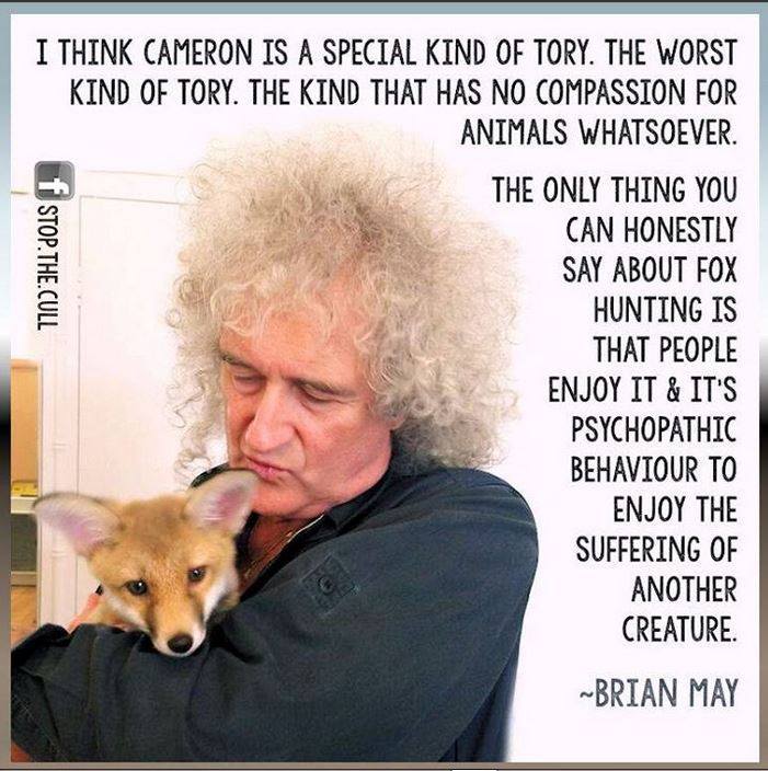 Baumflough's tweet photo. God bless Brian May... http://t.co/i7nwhXMZU2