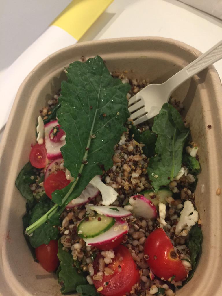 merbot's tweet photo. @trymaple Got salad + expected purple kale as advertised. this green is a cross btw sorrel + poison ivy. Still good. http://t.co/T2IpGYuRUp