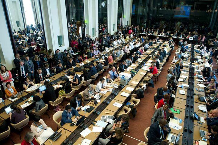 WHO's tweet photo. Today's photos from the 68th World Health Assembly https://t.co/6U8pPjw2Of #WHA68 http://t.co/QGY3Lt29ne