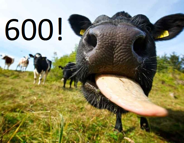 Het gras is groener aan de andere kant... 600 Likes op Facebook and counting!Tot zaterdag allemaal! @RTVNH #vanstreek