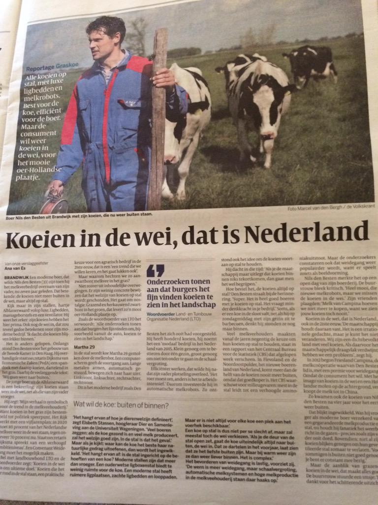 hkranstauber's tweet photo. Mooi! @NilsdenBesten vertelt z'n verhaal in @volkskrant over #weidegang #FFFoT #melk @YFM_NL @deMelkSalon http://t.co/m8ohp41xVo