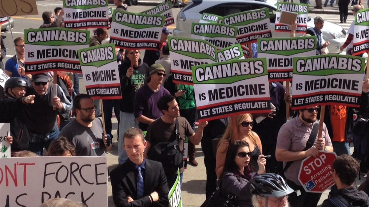 carteblanchetv's tweet photo. #WhyWeed? Watch Sunday's story here http://t.co/7oVDeDsrYe http://t.co/kHc3x1rXL7