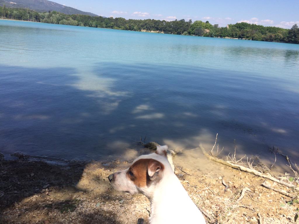 JovanottiH's tweet photo. Paradis ✌🏼️ OKLM http://t.co/g3jCruV4f2