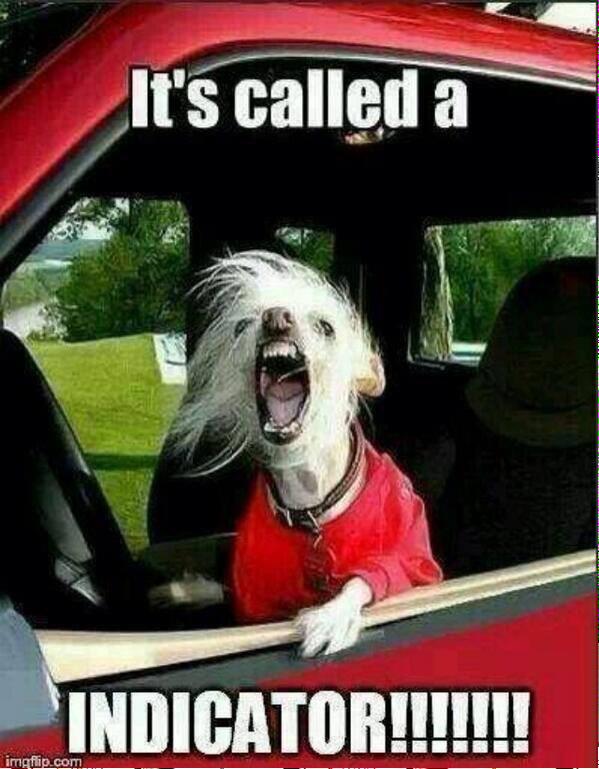 Leighan70422967's tweet image. How some people passed there tests is a mystery!! #DriverFail #dangerous #getofftheroad