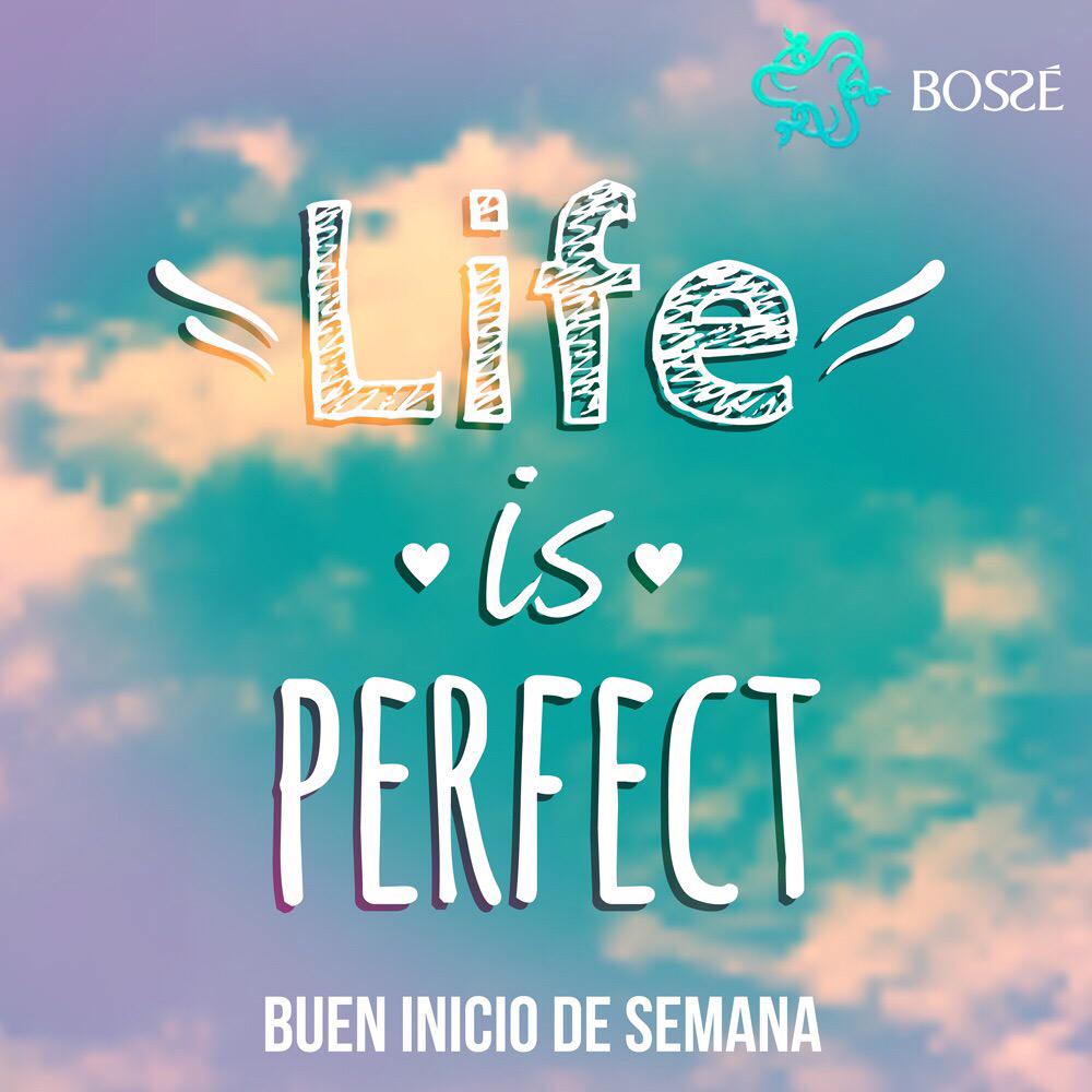 Por que la vida es perfecta <a href="/bossegdl/">Bossé Oficial</a> te desea buen inicio de semana!!! #BacktoBasics #Monday