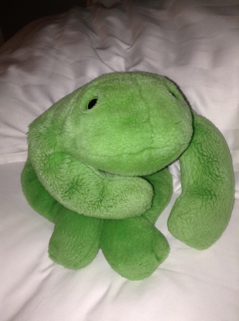 karafruit's tweet photo. #IBMcloudSMASH @pikabluemix @jrmcgee is mistaken for a fly and devoured by a passing frog! http://t.co/Z0fiRN6SjU
