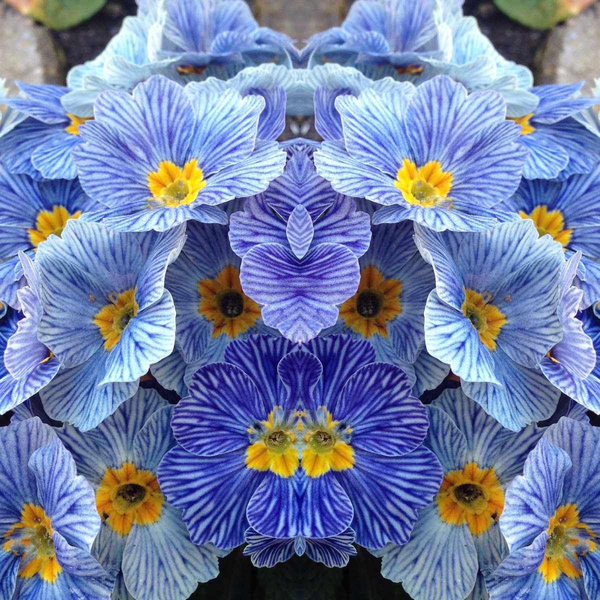 WolfandEYE's tweet photo. http://t.co/Oo6yArJ3XM