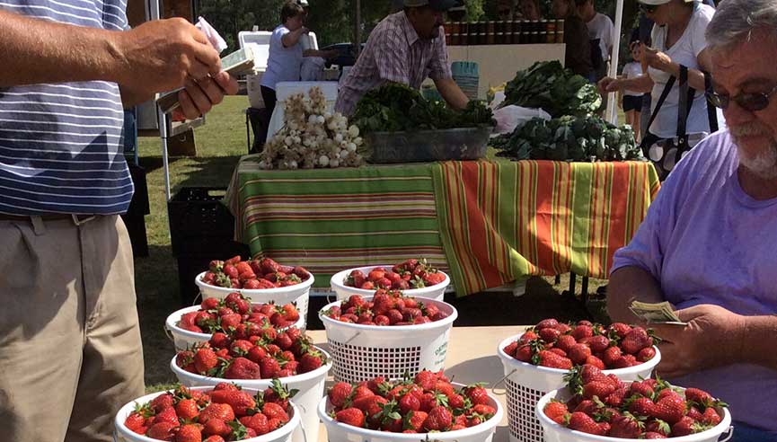 Auburn's Market at Ag Heritage Park open for 10th season ocm.auburn.edu/newsroom/news_… <a href="/AuburnAg/">Auburn Agriculture</a>