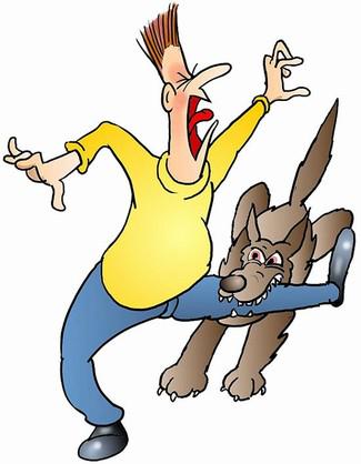 combinedmiami's tweet photo. #FYI When Dogs Bite, Home Insurers Pay Average $32,000 #insurance #CombinedMiami
http://t.co/072odNM4Qo http://t.co/ebYgeFBPZq