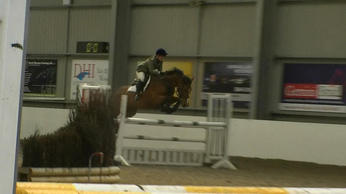 More showjumping practice tomorrow. Try to get a bit more control!