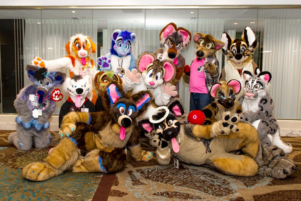 blurshepherd's tweet photo. @morefurless http://t.co/AGzgWgIigO