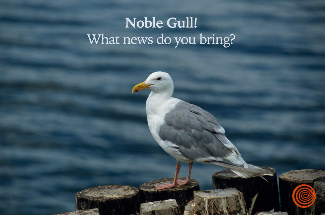 ClickHole tweet media