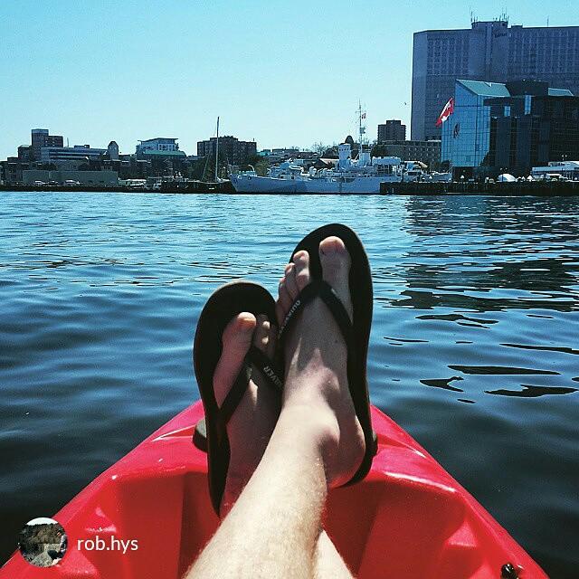 haligoniaphotos's tweet image. from @rob.hys Getting some sun. #firsthashtag #haligonia #halifaxharbour #noshirt #nosunscreen #watchoutforferry