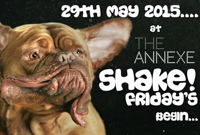 shake_fridays's tweet photo. #buzzing #shakefridays #edinburgh http://t.co/iwOGHMnzlF