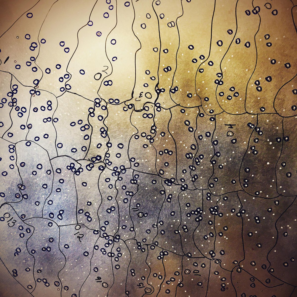 BerkeleyLab's tweet photo. #Art or #science or both? Hint: BOSS Redshift Survey »
http://t.co/YlrC8N4RIz #plugplate #photooftheday http://t.co/FfHLrxz0D4