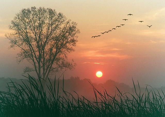 coffeebreak12's tweet photo. RT @myall3000 https://t.co/zV4pPT2kLV