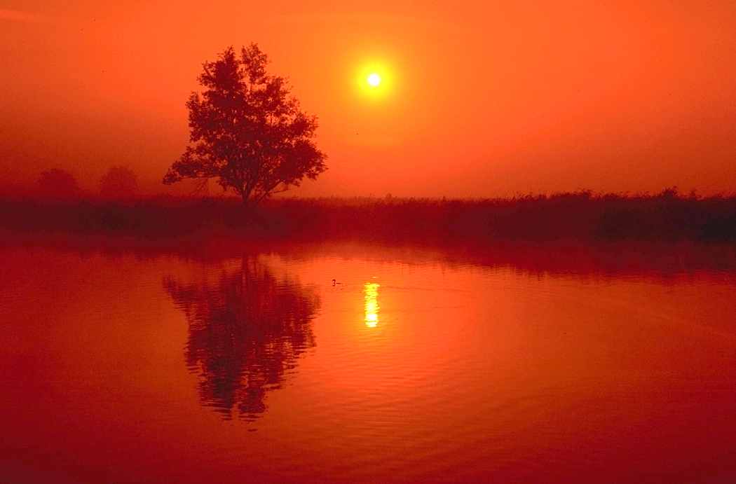 myall3000's tweet photo. http://t.co/1mH7mrPMdW