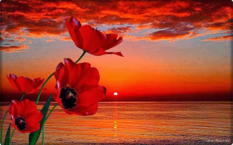 JE (@myall3000) on Twitter photo 