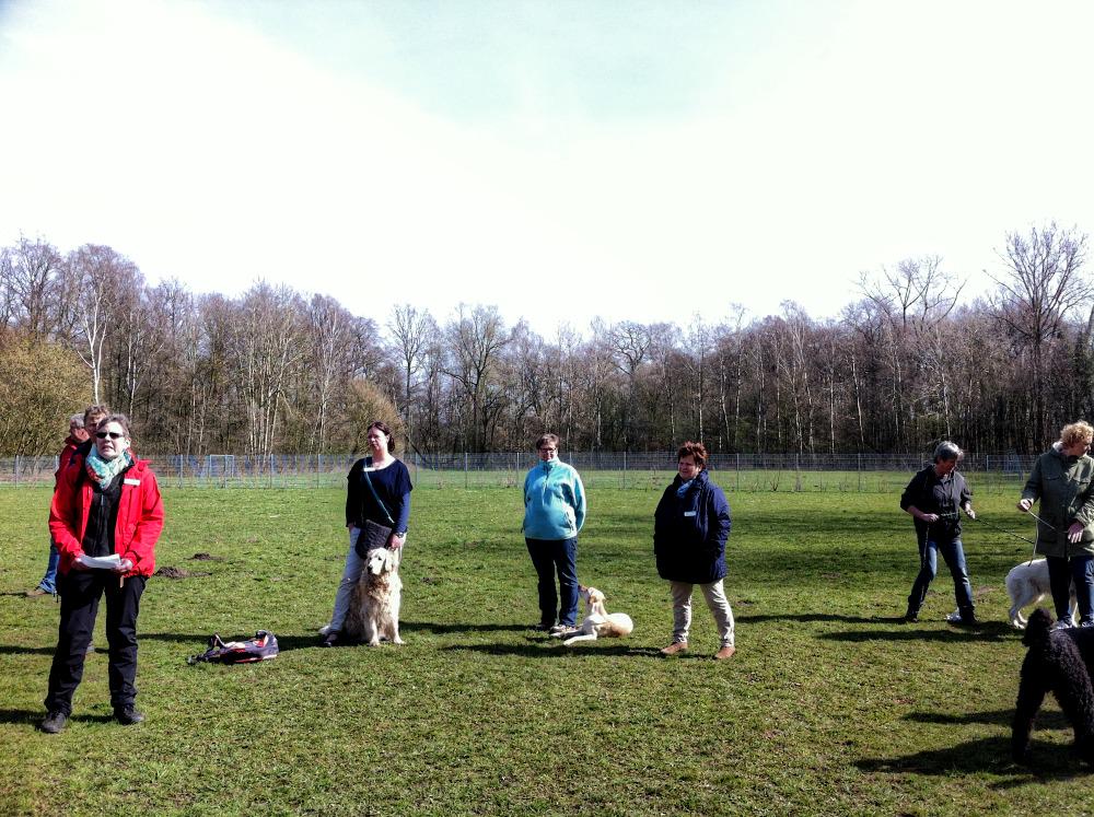 PinselSchnauz's tweet photo. Freilauffläche #osnabrueck bekommt Schleuse. | http://t.co/ErjEKZ032O | #hunde #haustiere #flf #schleuse #gehtdoch http://t.co/3PvmtLYIIO