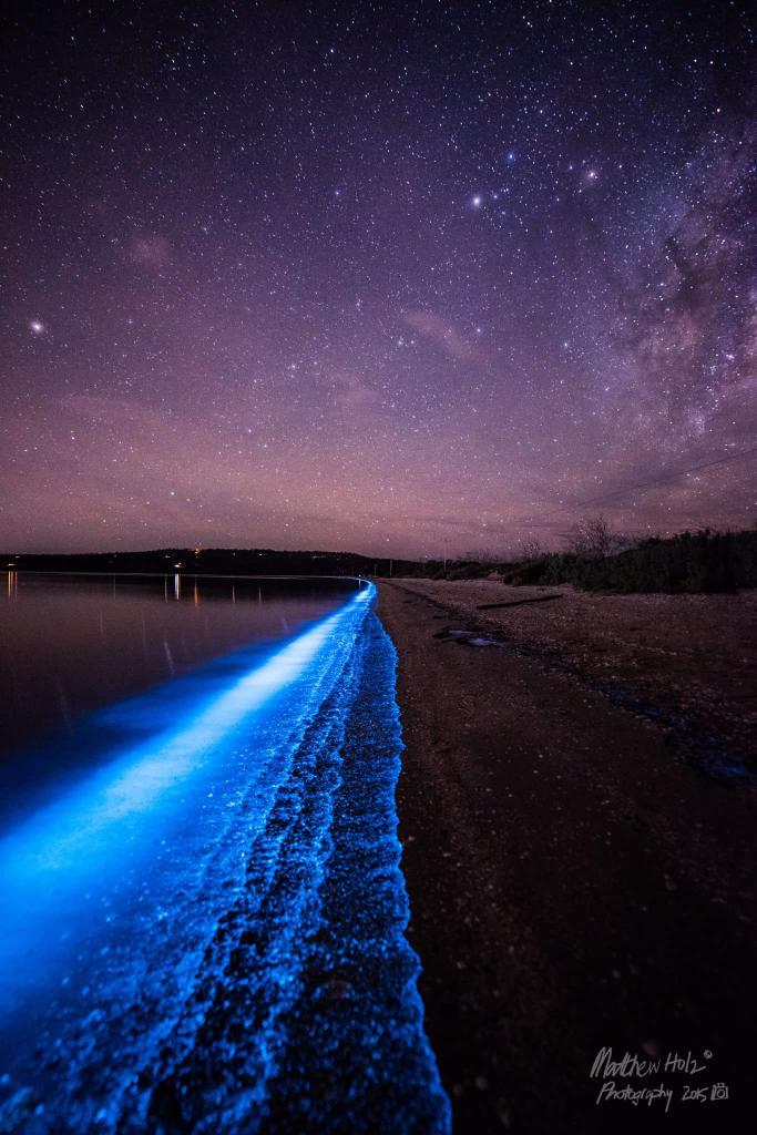 greg_faull's tweet photo. WOW - Hobart's rare Bioluminesence on its shores, pic via Matthew Holz at Lauderdale @Heart1073 @themercurycomau http://t.co/hfgZmeWQaA