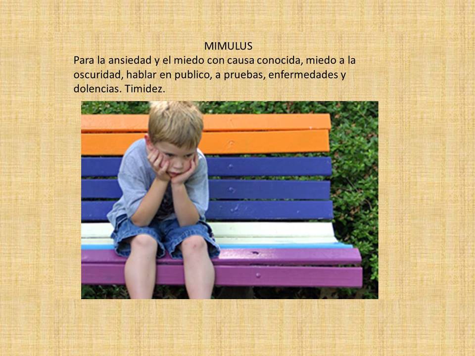 terapiaysonrisa's tweet image. Aporta calma, superación de miedos.timidez y además ayuda a ser empaticos.